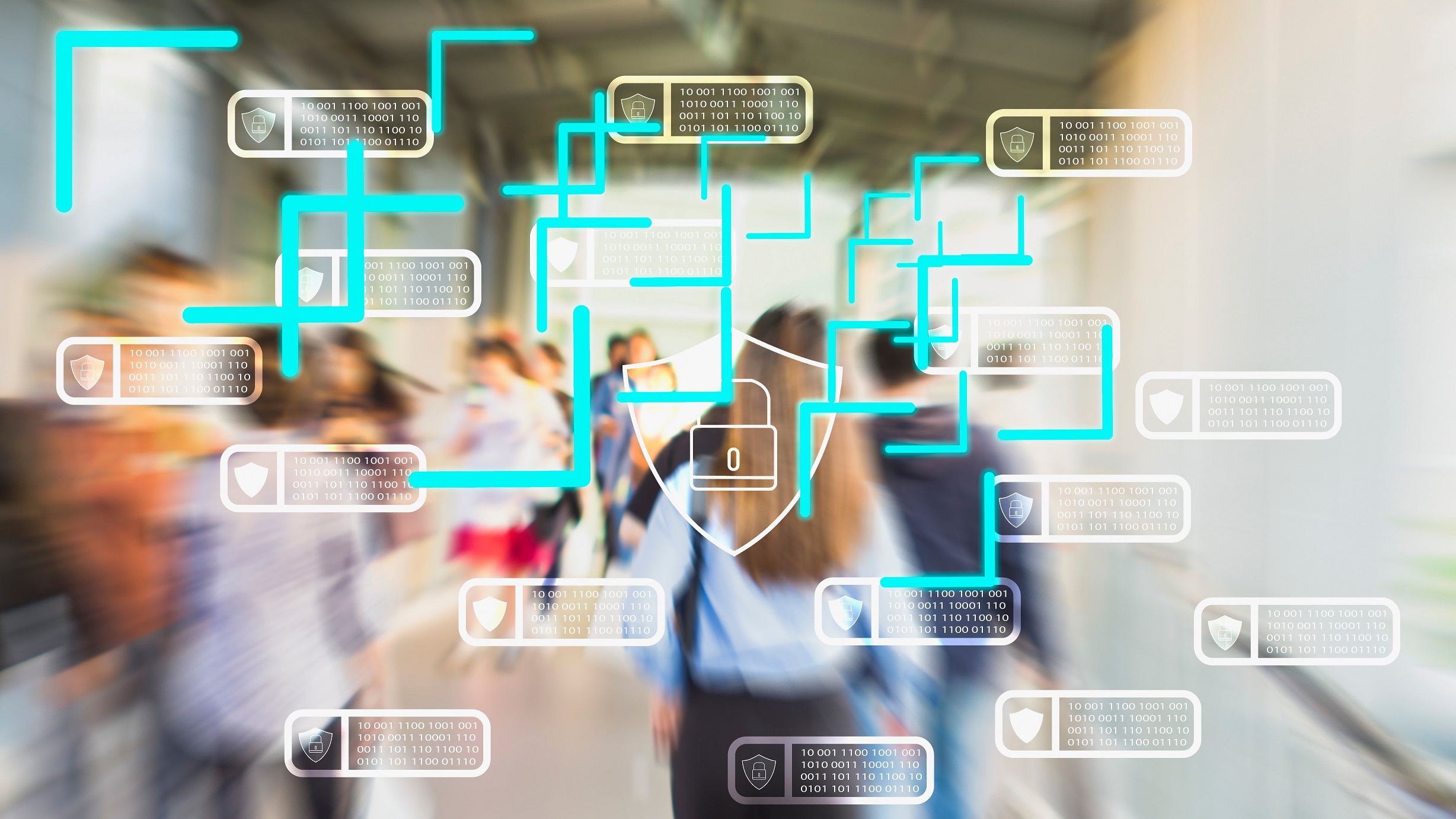 Managing your building data